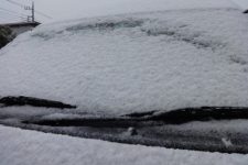 まさかの雪・・・