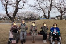 お花見でピース!