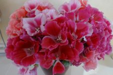 コデチャの花束