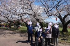 お花見