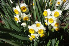 1月も最後・・・・・