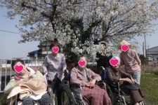 🌸🌸🌸お花見🌸🌸🌸
